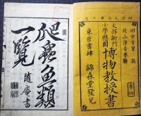 悪物教授書　四　文部新刊小学懸図