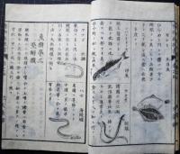 悪物教授書　四　文部新刊小学懸図