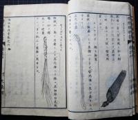 博物教授書　六　文部新刊小学懸図