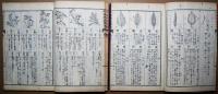 小学植物教授書　上下　2冊