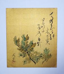 渡辺水巴画賛色紙（小色紙）　「てのひらの木の実日当る子の日哉」