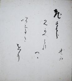 皆吉爽雨色紙　「老さくら見かへられつゝ吹雪きをり