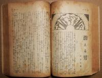 新青年　大正11年２月増刊号・8月増刊号　合本　　（探偵小説傑作集）