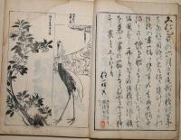 光琳百図　上下　2冊