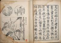 光琳百図　上下　2冊