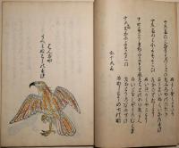 とりのうた合