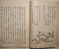 とりのうた合