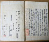 旅中日記麻衣 : 全