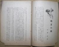 茉莉花　第28号　8月号