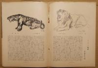 美術雑誌デッサン　2