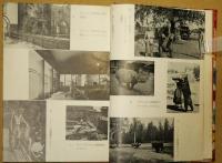 世界の動物園めぐり