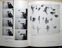 The Waｙ of the Brush PA(NTING TECHNIQUES OF CHINA AND JAPAN