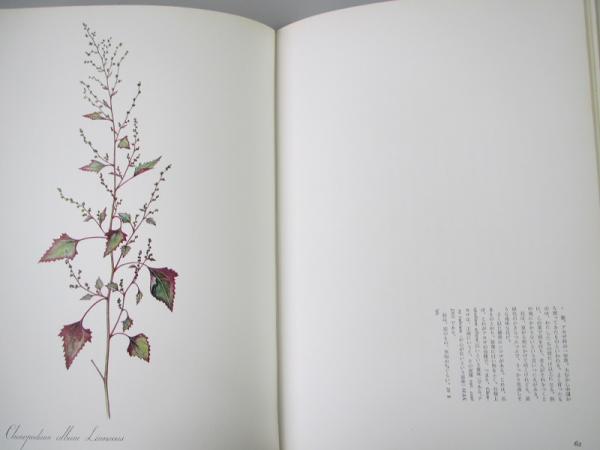花の画集 1(佐藤達夫 著) / 有限会社古書舗フクタ / 古本、中古