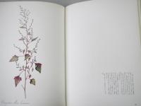花の画集　1
