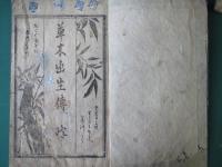 生花出生傳　（終）