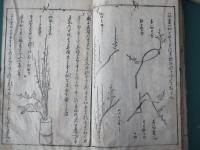 生花出生傳　（終）