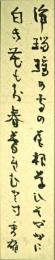 吉野秀雄短冊　「浄瑠璃の寺の屋根草ひそやかに白き花もち春暮れむとす」