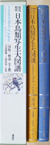 Amazon.co.jp: e9-1（原色精密 日鳥類写生大図譜）全2冊 図版＋