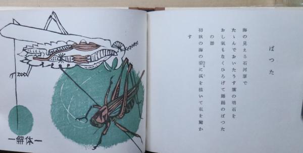 博物譜 一木会豆版画帖(恩地孝四郎編) / 古本、中古本、古書籍の