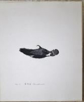 薔薇刑　日和崎尊夫版画作品集