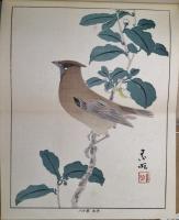 新日本画講義