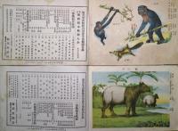 新撰博物標本画帖　動物類　動物類第二　2冊
