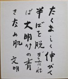 土屋文明色紙　「たくましく伸びて半ばを脱ぎたれば大明竹の青木なめ肌　文明」　