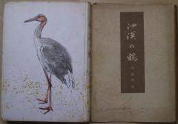 沙漠の鶴 : 大陸俳句紀行