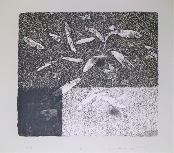 中林忠良【転位' 築け 86地1】銅版画