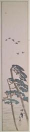 小林松僊　絵短冊　「渡り鳥」