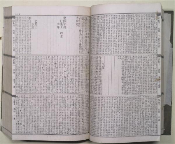 Amazon.co.jp: 標註訂正康煕字典 (辞典) : 渡部 温: 本
