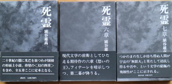 死霊 定本全五章 六章 七章 3冊 埴谷雄高 著 古書舗 フクタ 古本 中古本 古書籍の通販は 日本の古本屋 日本の古本屋
