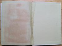 橋　科学新書13
