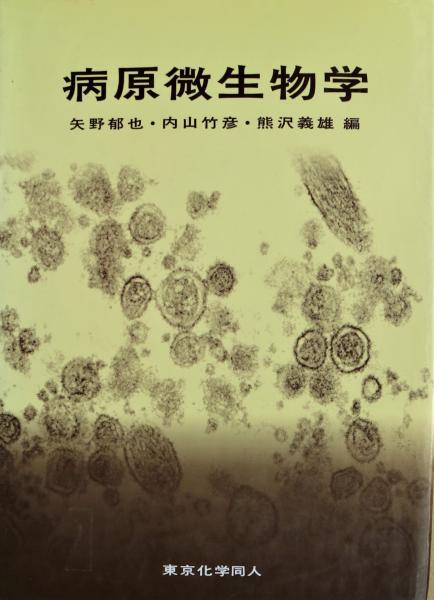 銀鈴集(泉鏡花) / 有限会社古書舗フクタ / 古本、中古本、古書籍