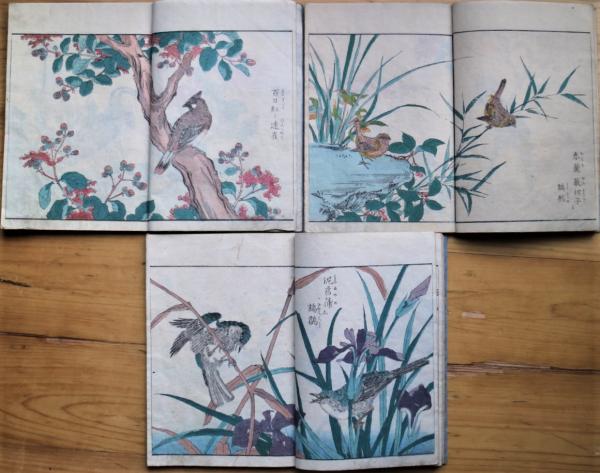 No4420 巻子装　報春図　紅梅　紙本　花鳥図　古画　絵画　古美術　送料無料 楽天市場】絵画 現代日本画 花鳥画 春飾り 紅白梅に鶯 北山歩生