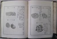病理新説　図式