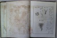 病理新説　図式