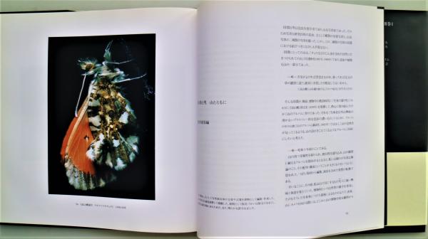 田淵行男(田淵行男 撮影) / 古本、中古本、古書籍の通販は「日本の