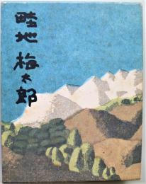 畦地梅太郎全版画集