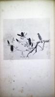 児玉希望画伯作品展観図集