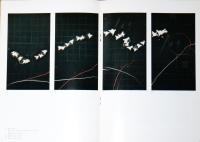河内成幸　1988