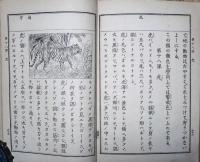 高等小學讀本　（三）（五）（六）　３冊