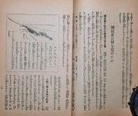 国民食