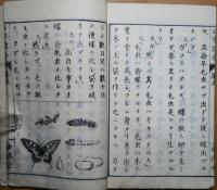 日本読本　郡村用　五