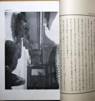 文芸林泉 : 随筆集