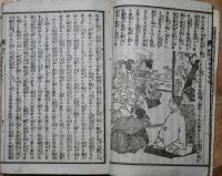 絵入実録　柳澤女太平記