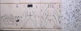 制剛流 　口伝捕縄図３図「早縄」「五法」「千鳥」　