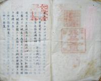 忽氏生理学　（ホフマン)