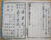 東海道中滑稽五十三駅　九編巻之上・下