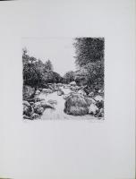 駒井哲郎銅版画作品集